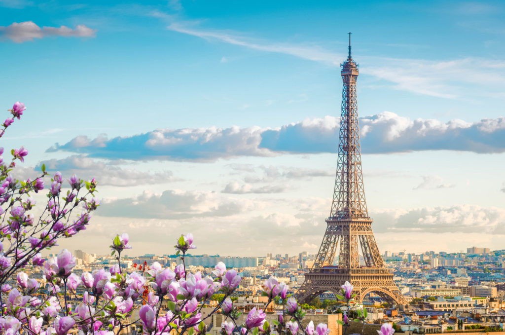 famous Eiffel Tower and Paris roofs with spring tree, Paris France