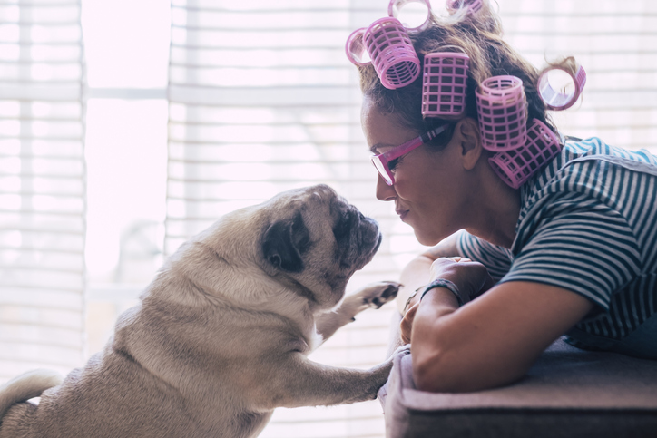 Woman and pug dog kissing each other while quarantine at home