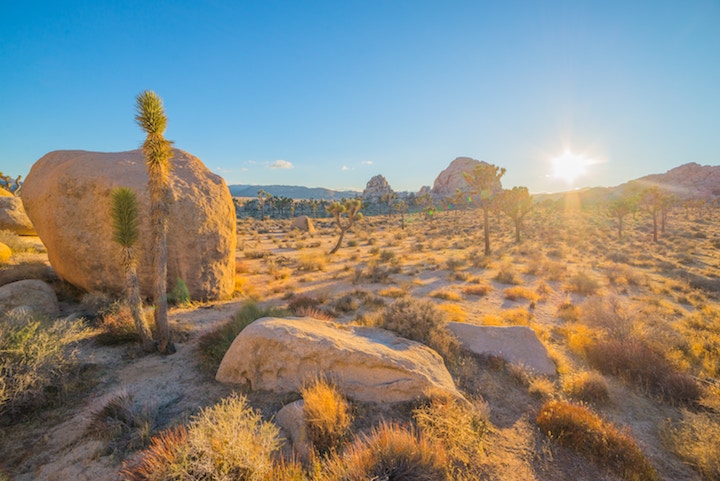 skincare routine in the desert