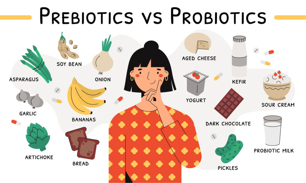 Probiotics vs. Prebiotics