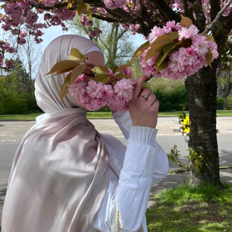 image_profile