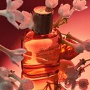 https://d3vlxf0ngetfml.cloudfront.net/compressed/blog-media/original_images/Harlem-perfume---showgir-04l_w128.jpg