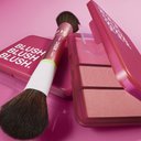 https://d3vlxf0ngetfml.cloudfront.net/compressed/blog-media/original_images/blush_palette_dual_ended_brush_still_life_lr_rgb2000_v1_01-04-2028_w128.jpg