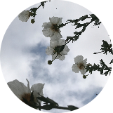 image_profile