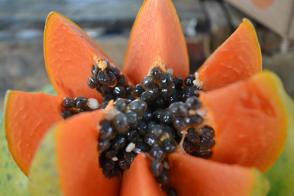 summer skincare fruits
